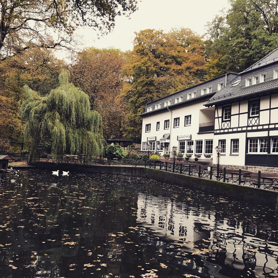 Hotel Forsbacher Muhle Rösrath Екстериор снимка